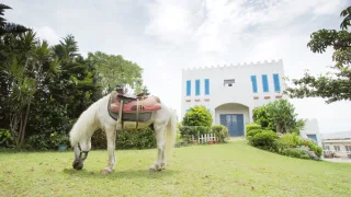 白馬休閒農園門口