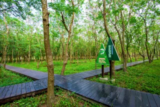 彰化溪州公園