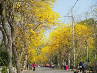 二水 坑內坑步道