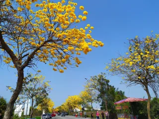 芬園鄉彰南路（台14丁）
