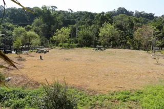 陳其生西施柚觀光果園空地