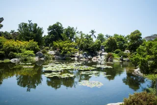 萬景藝苑
