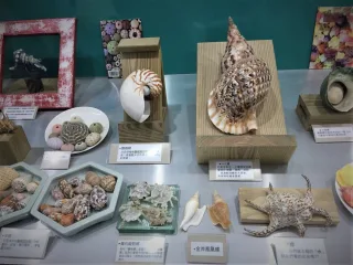 位於二樓的是體驗區及展示陳先生珍愛的收藏品們，創辦人陳先生的老家位於宜蘭，從小在海邊長大的他，身體中似乎流淌著浪漫的血液，對於大自然所創造出來的藝術品有著許多的憧憬，喜歡蒐集式各樣的貝殼及像形石，其中有顆貝殼特別的具有紀念性，於民國６３年時，陳先生要從蘇澳到彰化打拼時，身上除了換洗的衣物外，只帶了這顆貝殼。