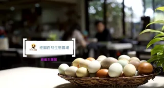彩色雞蛋是桂園畜牧場經由獨一無二配種技術，用不同的雞種，經過繁複的系統配種後母雞自然生下的雞蛋， 彩色雞蛋除了外表璀璨的顏色之外，全程一貫作業都是桂園農場用心研發培育，整個過程不使用抗生素、賀爾蒙、生長激素、開胃劑、藥物…等。讓雞以自然方式健康的長大