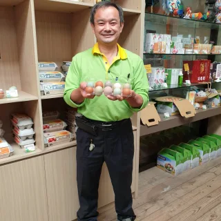 桂園畜牧場彩色雞蛋