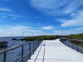 芳苑二林溪出海口的紅樹林近30公頃，主要林相是海茄冬和水筆仔。海茄冬高可達 8 公尺；適應高鹽分環境，自行將過多的鹽分慢慢由葉面擠出蒸發到體外，厚皮層葉片與葉背面密生絨毛防止水份散失，花期在4到8月間，果熟則約在8至10月，果實像蠶豆狀在成熟後掉落泥地隨海漂流，果實不為胎生。水筆子，可長到7公尺，同樣演化出很強的耐鹽性及抗風力，為保順利繁衍，提高存活率，發展出獨特的胎生苗，當胎生苗在母樹上成熟時，會自行脫落，落入水中或泥地中。且胎生苗常常能夠垂直插入泥土中，因而得名「水筆仔」。紅樹林配合有規劃的定期疏伐，賞鳥亭附近有了一片視野開闊的景觀。