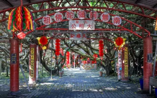 九龍大榕公