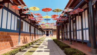 成美文化園│進入庭園，被湖面倒映著蓊欝的樹林吸引，精緻的造景引領遊客來到「成美公堂」，傳統閩式二進二院埕三合院，也是被登錄為歷史建築。