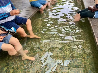 社頭清水岩溫泉露營區│是中部面積最大的合法露營區，提供五星級露營設備，規劃有豪華及自助露營區、溫泉湯屋、泡腳池、親水區等，還有餐廳、兒童遊戲場、戶外烤肉區、野餐區等設施。
