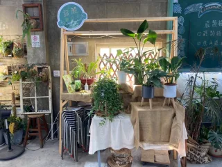 廣善園藝-神秘果的家