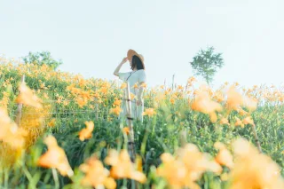 虎山巖金針花是台灣西半部最早盛開，橙黃花朵，宛如清晨第一道曙光，新鮮明亮，為大地披上溫暖的薄紗，賞花步道沿著山坡如「之」字形般蜿蜒著，每間隔一段落，就設槽區，讓人們得以站得更深入花海中取景拍照，在陽光下，金針花如浸透了金色的蜜汁，溫潤柔和，療癒人心。