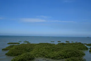 漢寶濕地