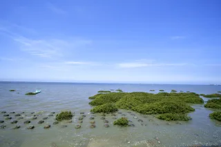 漢寶濕地