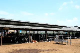 禾家牧場