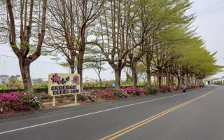 社頭杜鵑花大道