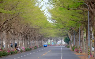 社頭杜鵑花大道