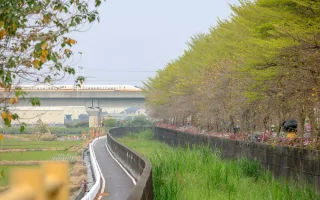 社頭杜鵑花大道