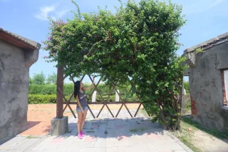 村落內也有一些造景藝術，像此植生牆。
