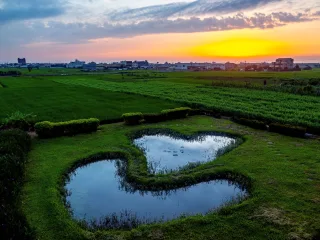 蘇王芳滿/拍攝