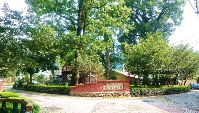 楓香巨木群公園