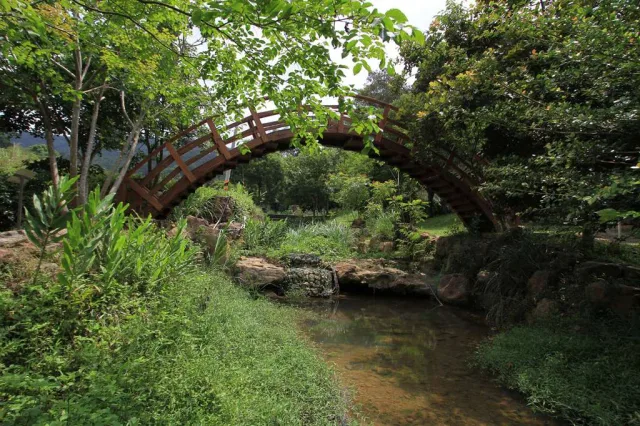 桃米生態村