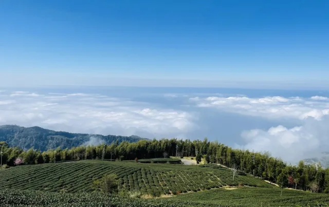 雲嶺之丘