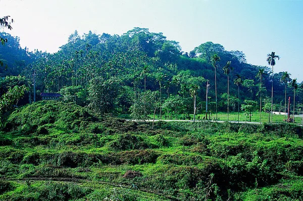 草嶺地質體驗區