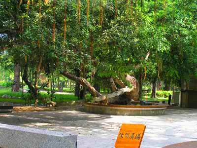 朴子藝術公園