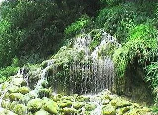 花崗水上青（賀伯颱風吹毀向未修復完整）