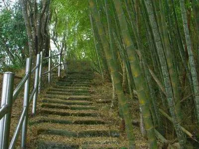 大湖尖山步道