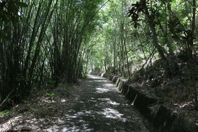 虎頭山步道
