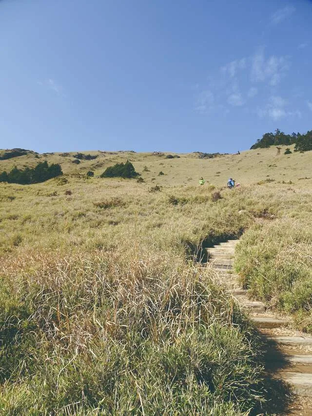 合歡山國家森林遊樂區