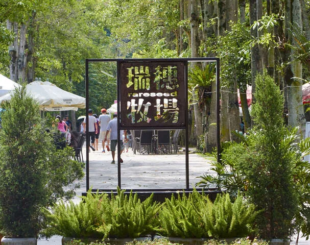 瑞穗牧場