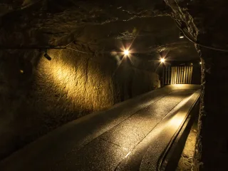 場地內區域照-1
