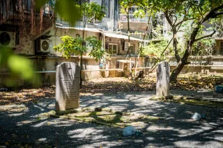 近景特寫-2