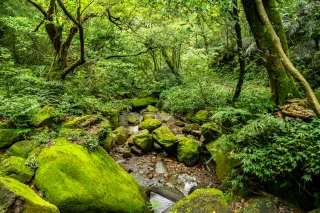 場地步道景照-3