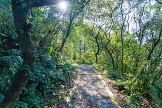 荖寮坑礦業生態園區步道