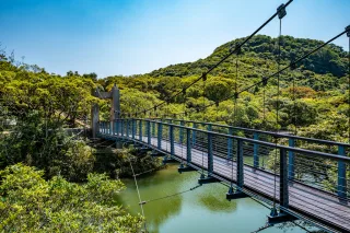 情人湖公園吊橋