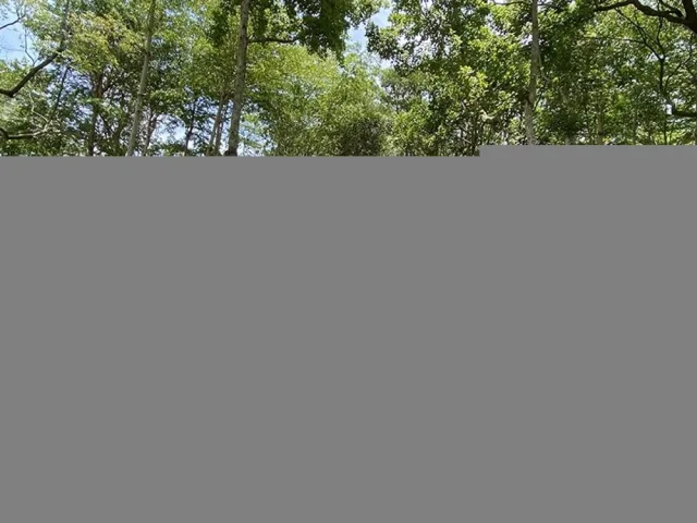 明湖公園