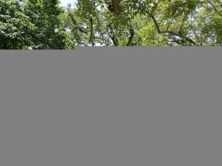 明湖公園