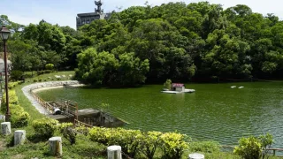 清華大學