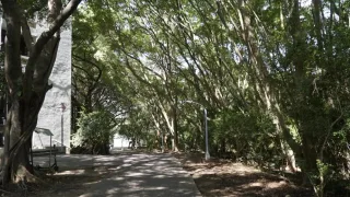 清華大學