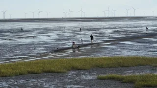 風情海岸