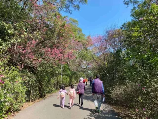 十八尖山