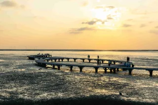 賞蟹步道