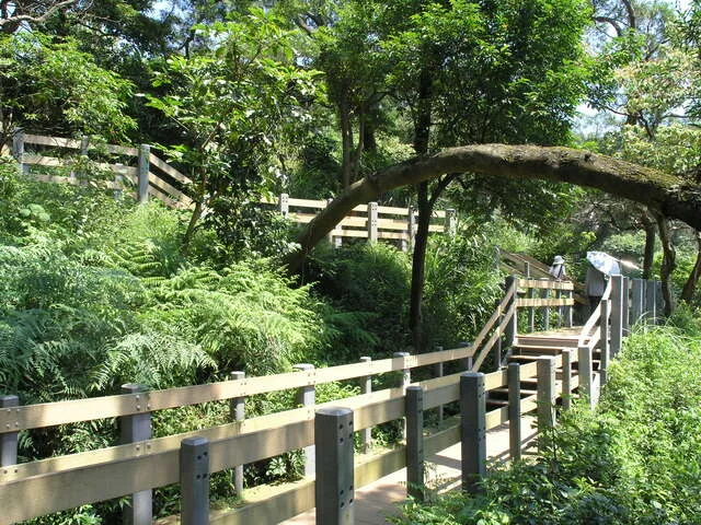 南港山系_虎山親山步道