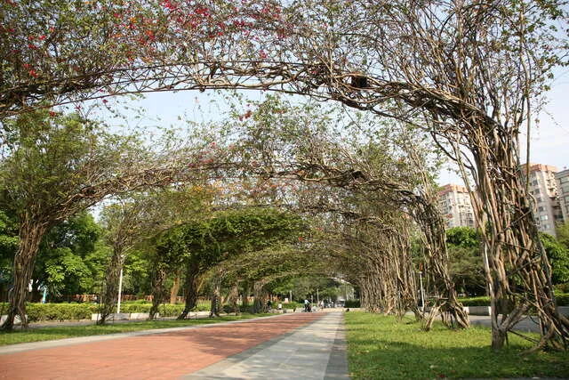 榮星花園公園