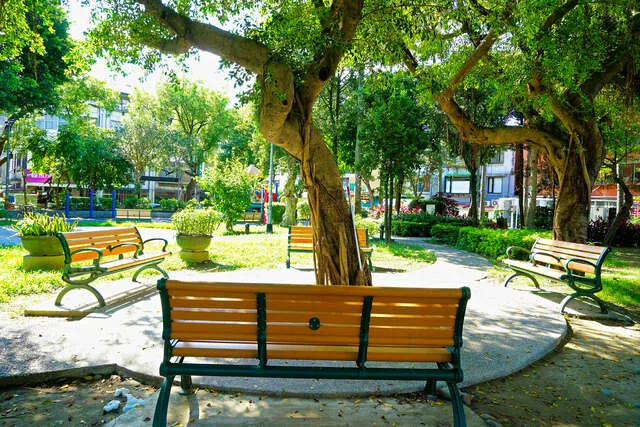 遼寧公園-園內休息區-攝影/高讚賢