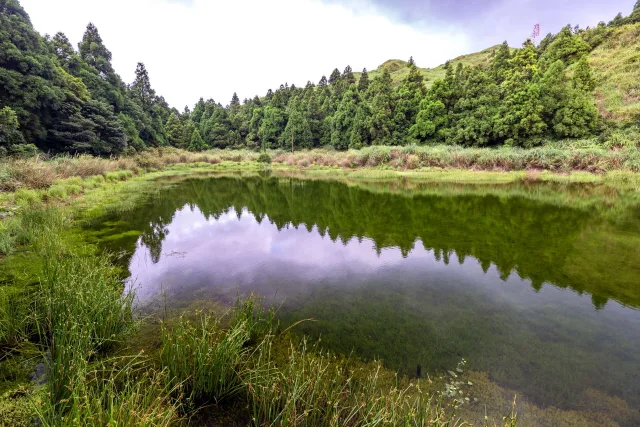 湖邊生長著各種植物，水面清澈透明，風景如畫