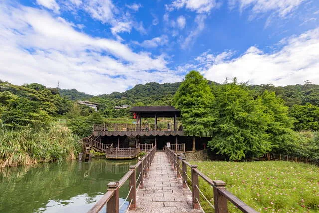 貓空樟樹步道